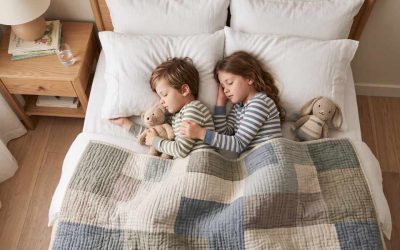 Sleep & Nervous System Support